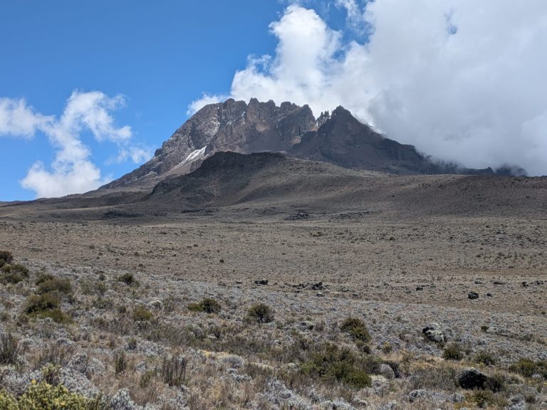 Mawenzi Peak on Mount Kilimanjaro with white rounded clouds above, viewed from a grassy savanna area where the photographer stands in the chilly early-day light