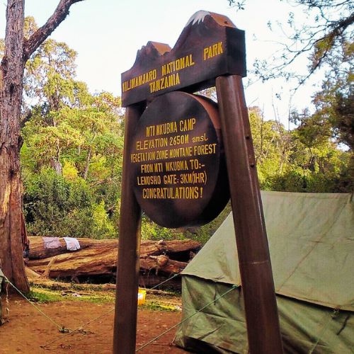 mkubwa camp Kilimanjaro
