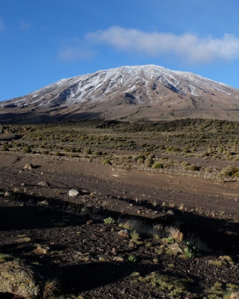 View of Mount Kilimanjaro’s snowy summit from Third Cave Camp on the Northern Circuit Route during a guided trek with Kilimanjaro Joy