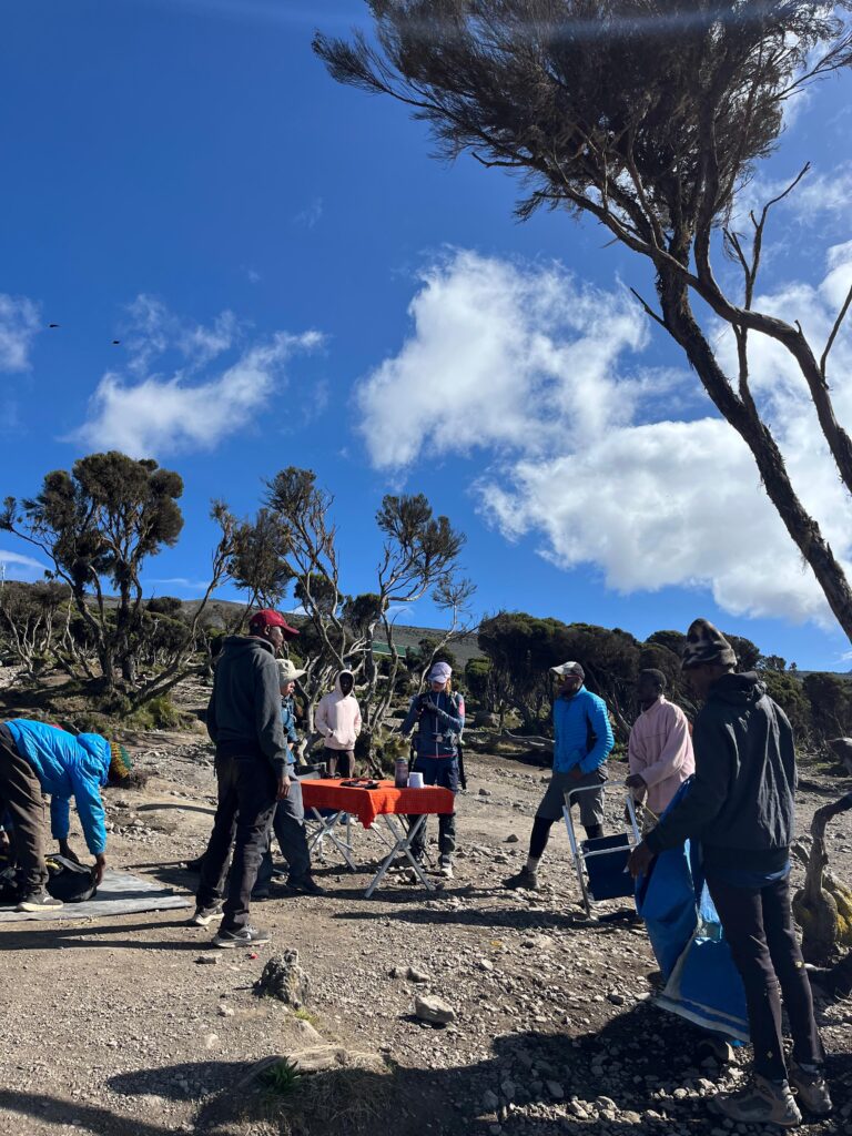 Trekker group with porters and a guide setting up a table and chairs in a grassy savanna area on Mount Kilimanjaro, preparing for a camp